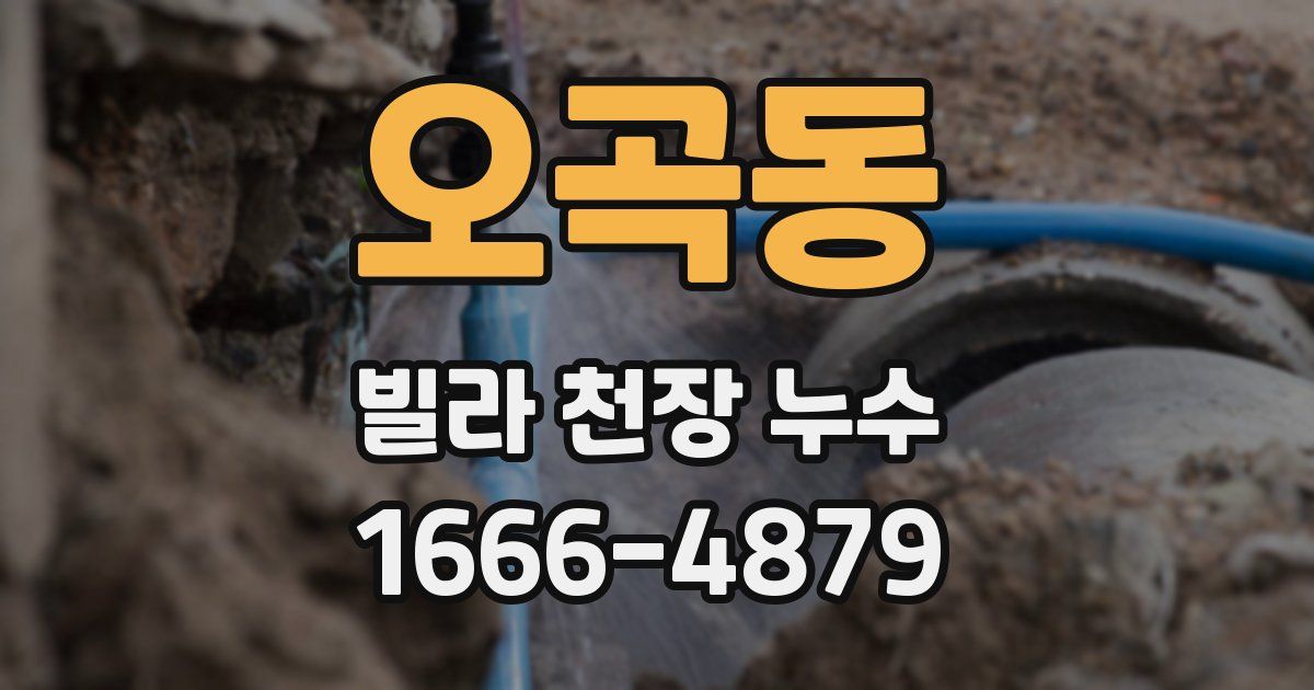 오곡동 빌라 천장 누수