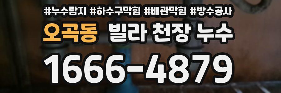 오곡동 빌라 천장 누수