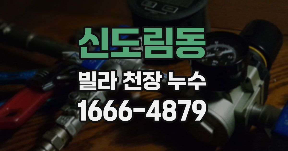 신도림동 빌라 천장 누수