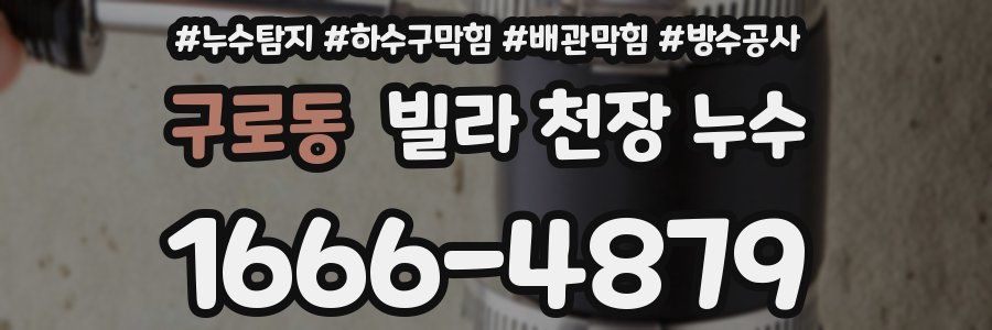 구로동 빌라 천장 누수