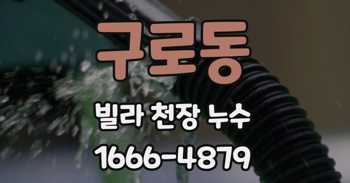 구로동 빌라 천장 누수