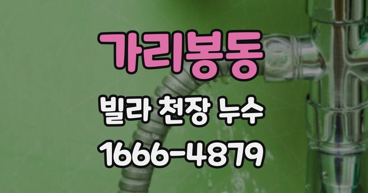 가리봉동 빌라 천장 누수