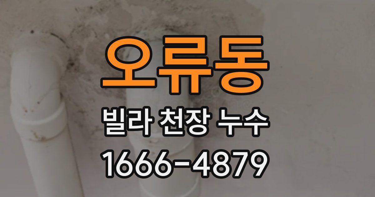 오류동 빌라 천장 누수