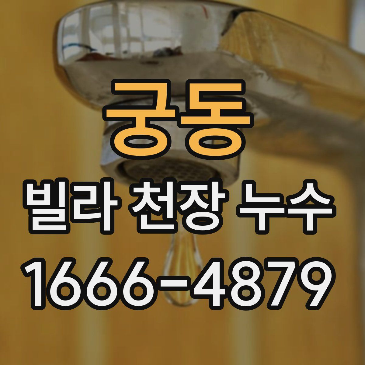 궁동 빌라 천장 누수