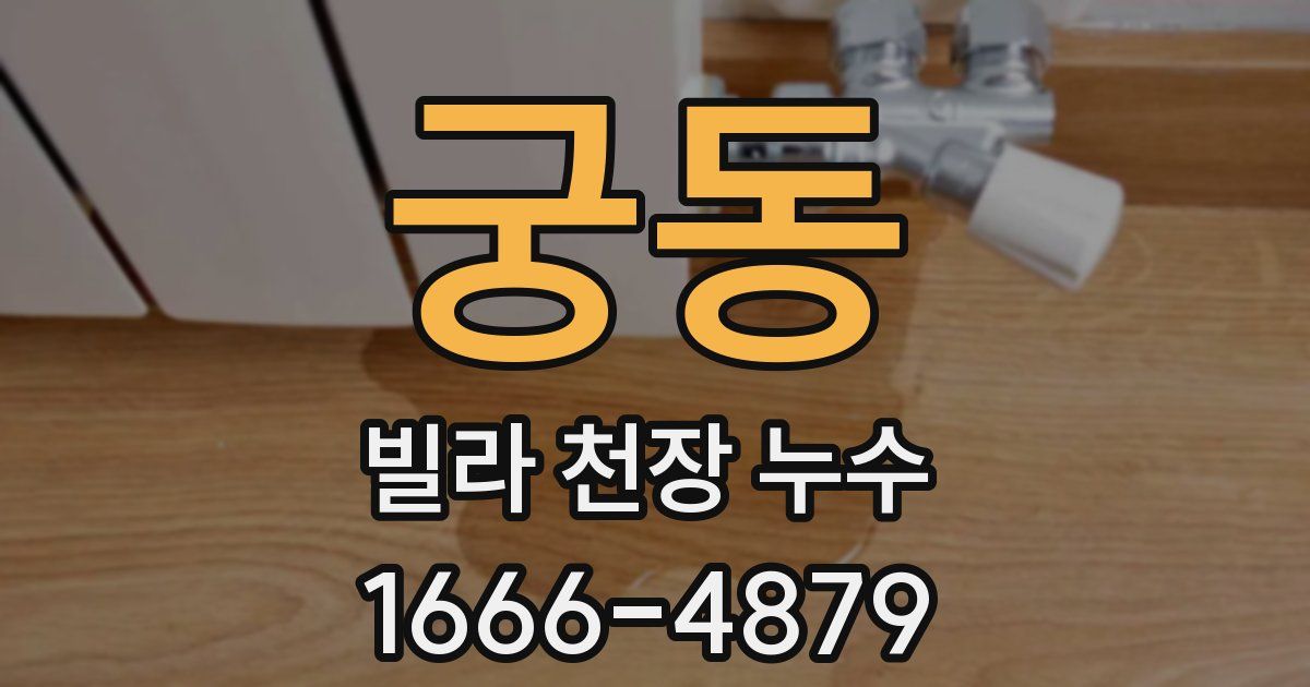 궁동 빌라 천장 누수