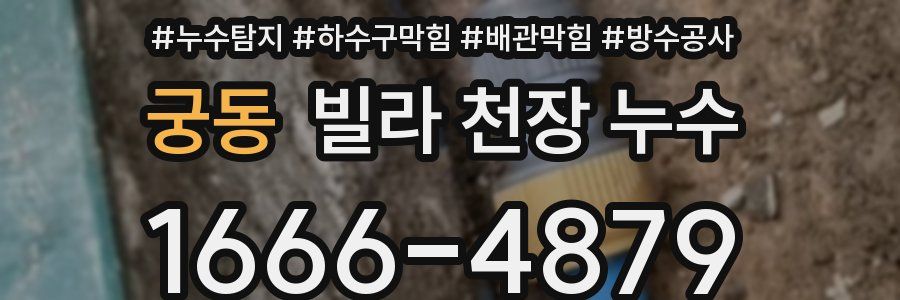 궁동 빌라 천장 누수