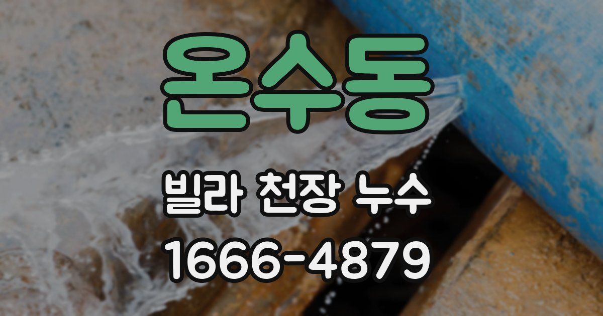 온수동 빌라 천장 누수