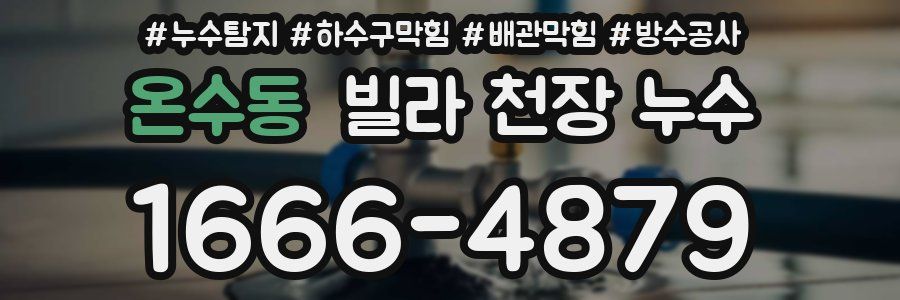 온수동 빌라 천장 누수