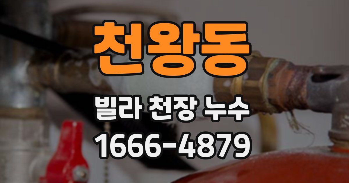 천왕동 빌라 천장 누수