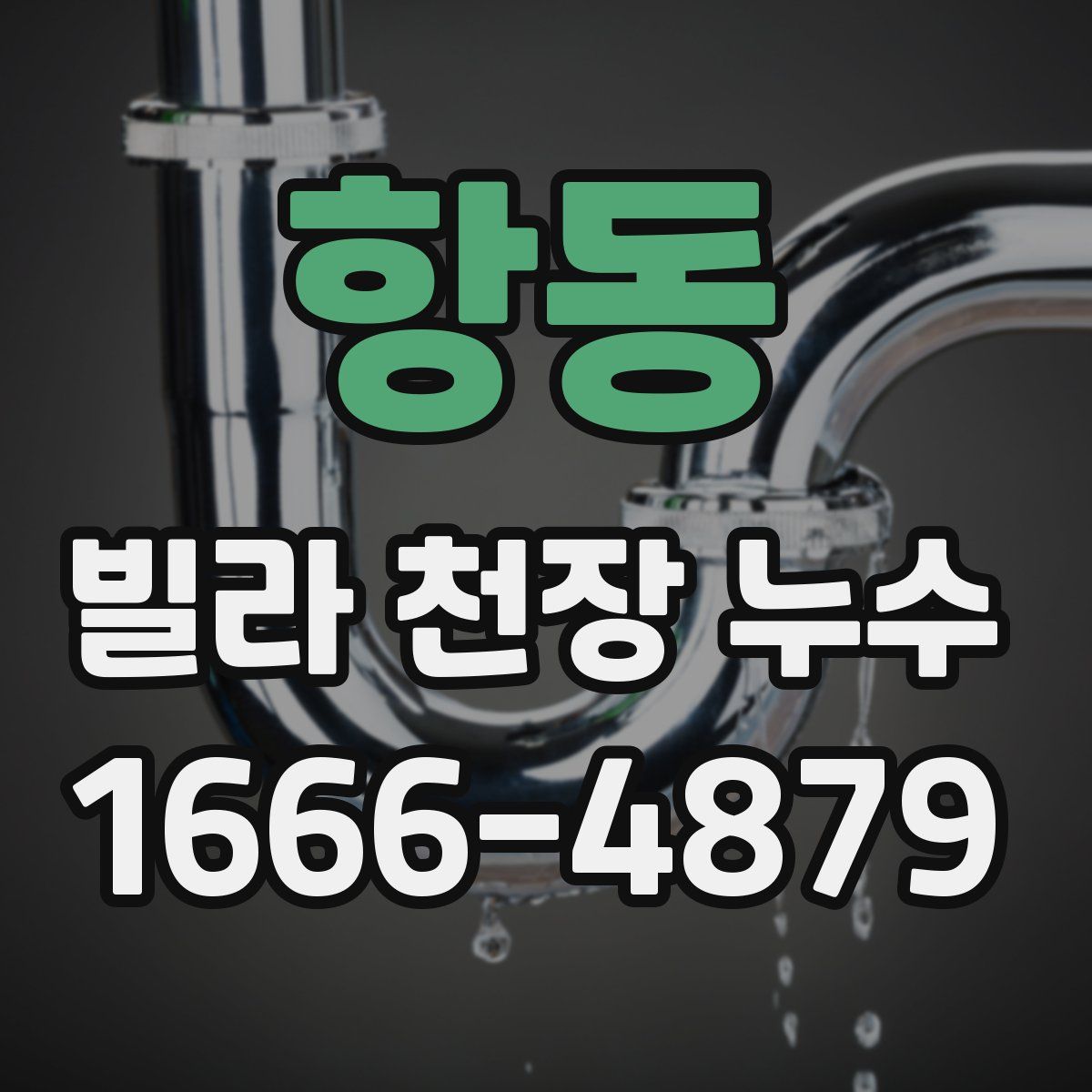 항동 빌라 천장 누수