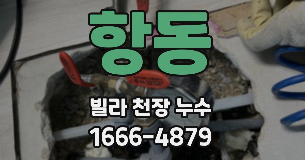 항동 빌라 천장 누수