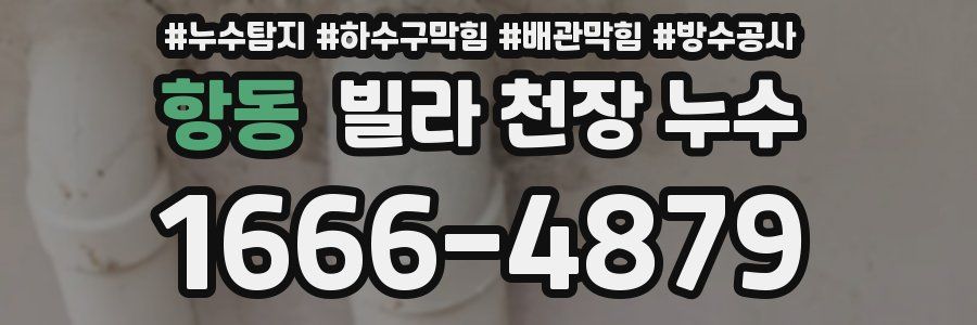 항동 빌라 천장 누수