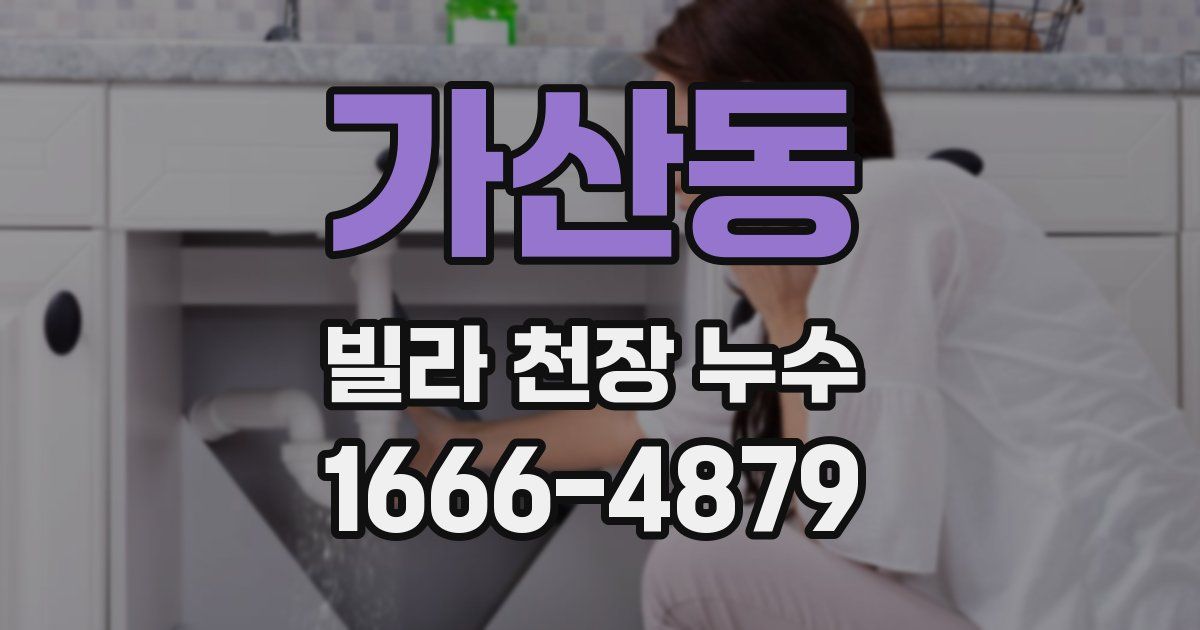 가산동 빌라 천장 누수