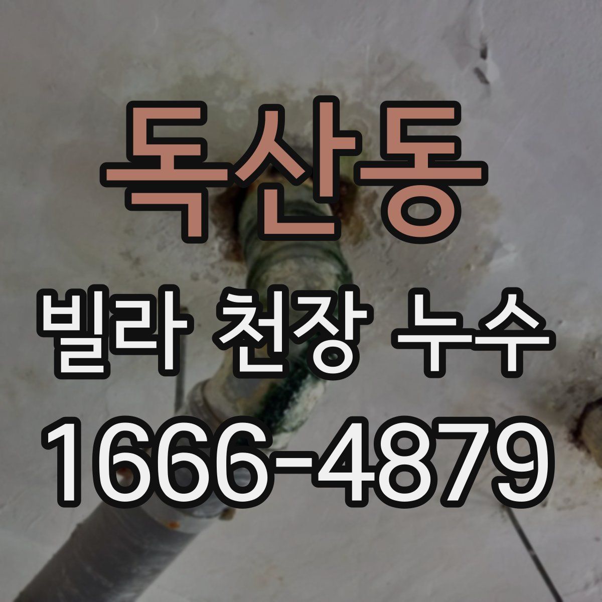 독산동 빌라 천장 누수