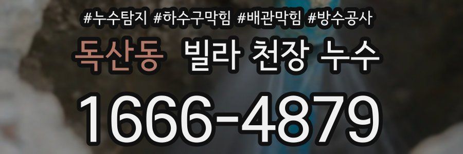 독산동 빌라 천장 누수