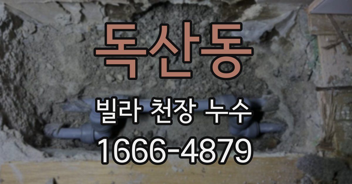 독산동 빌라 천장 누수
