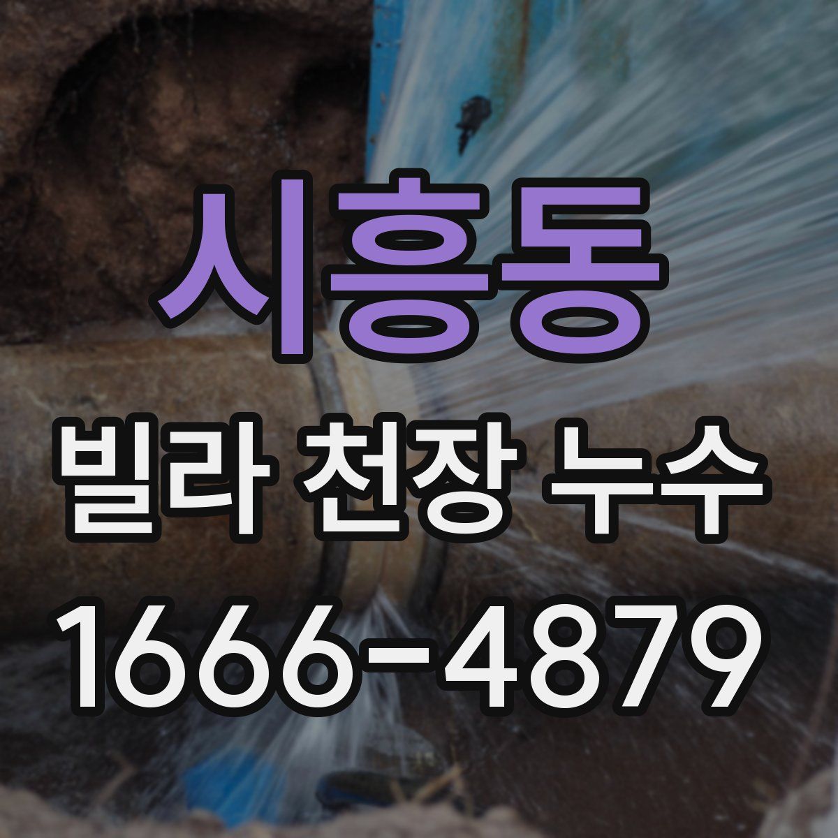 시흥동 빌라 천장 누수