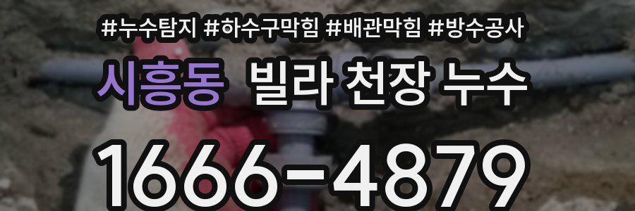 시흥동 빌라 천장 누수