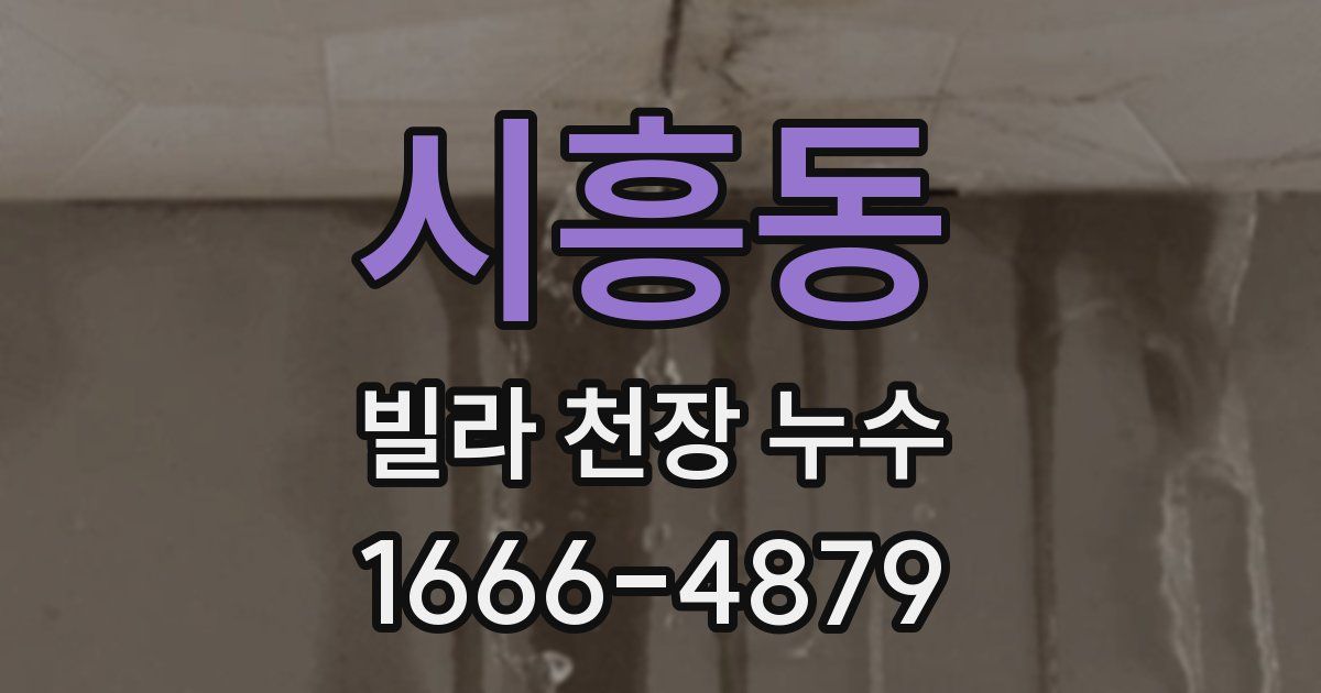 시흥동 빌라 천장 누수