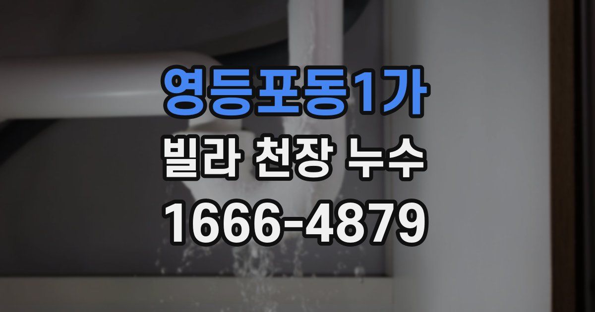 영등포동1가 빌라 천장 누수
