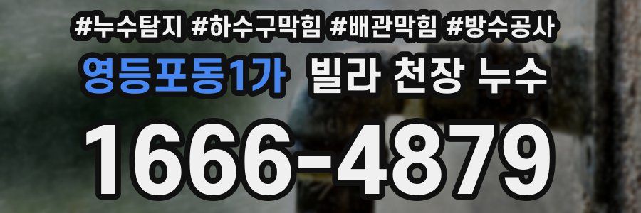 영등포동1가 빌라 천장 누수