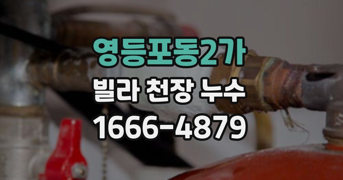 영등포동2가 빌라 천장 누수