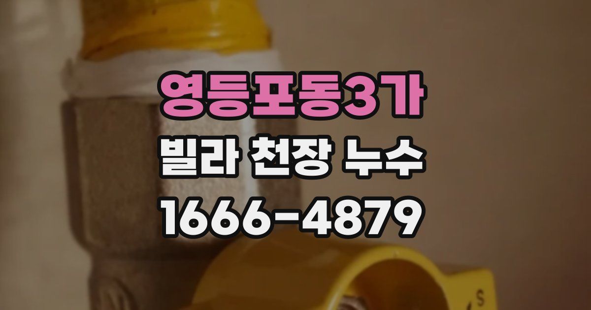 영등포동3가 빌라 천장 누수