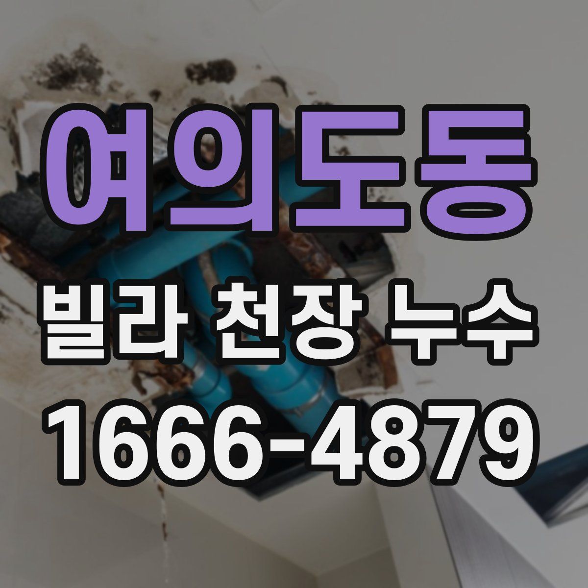 여의도동 빌라 천장 누수