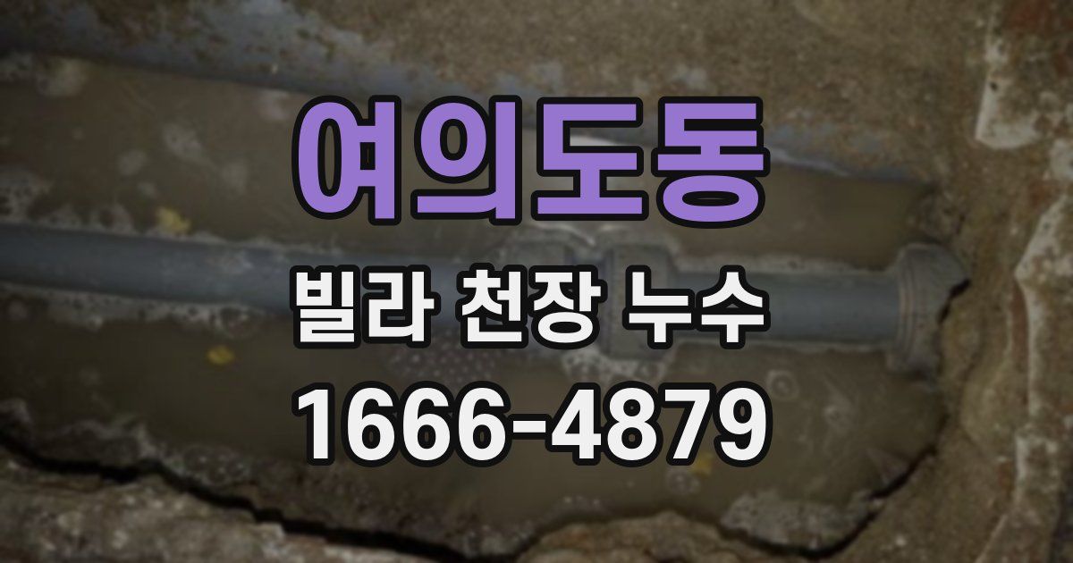 여의도동 빌라 천장 누수