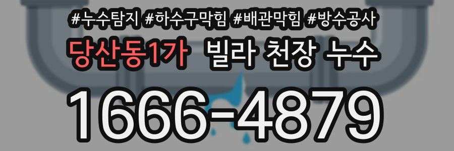 당산동1가 빌라 천장 누수
