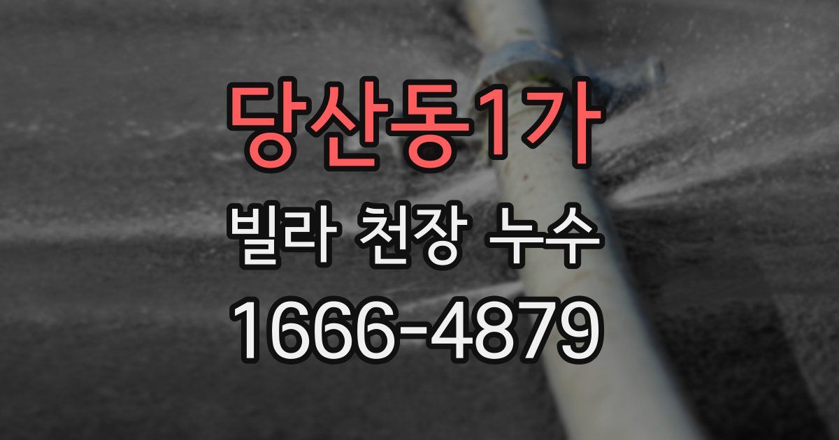 당산동1가 빌라 천장 누수