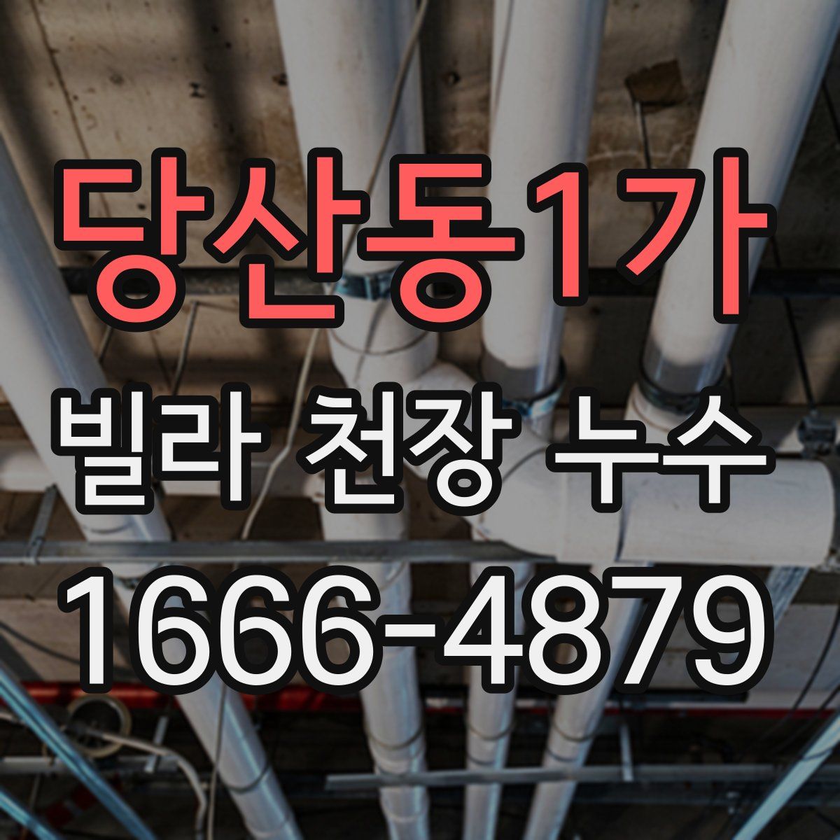 당산동1가 빌라 천장 누수