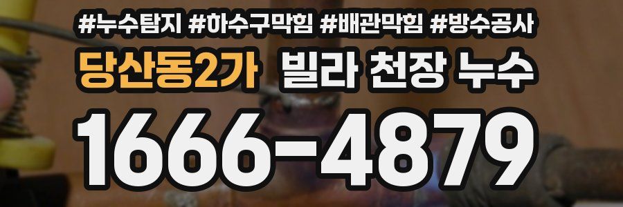 당산동2가 빌라 천장 누수