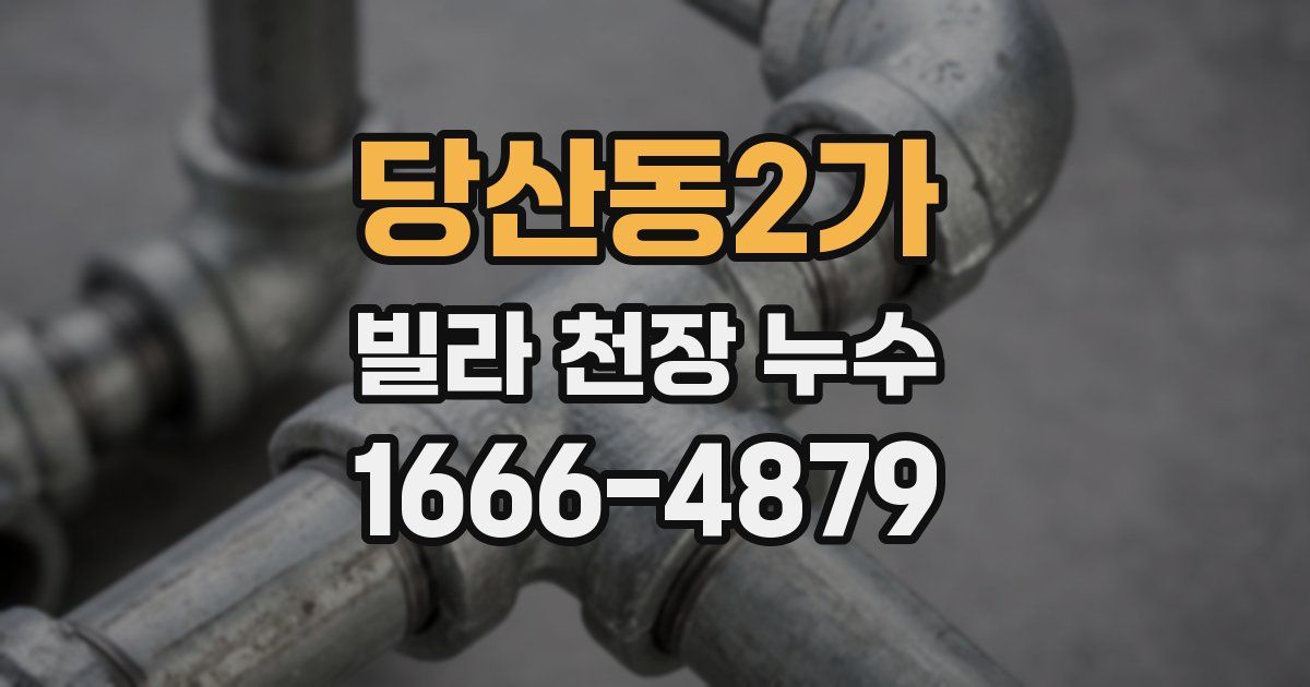 당산동2가 빌라 천장 누수