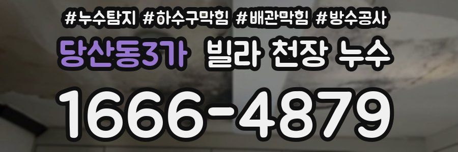 당산동3가 빌라 천장 누수
