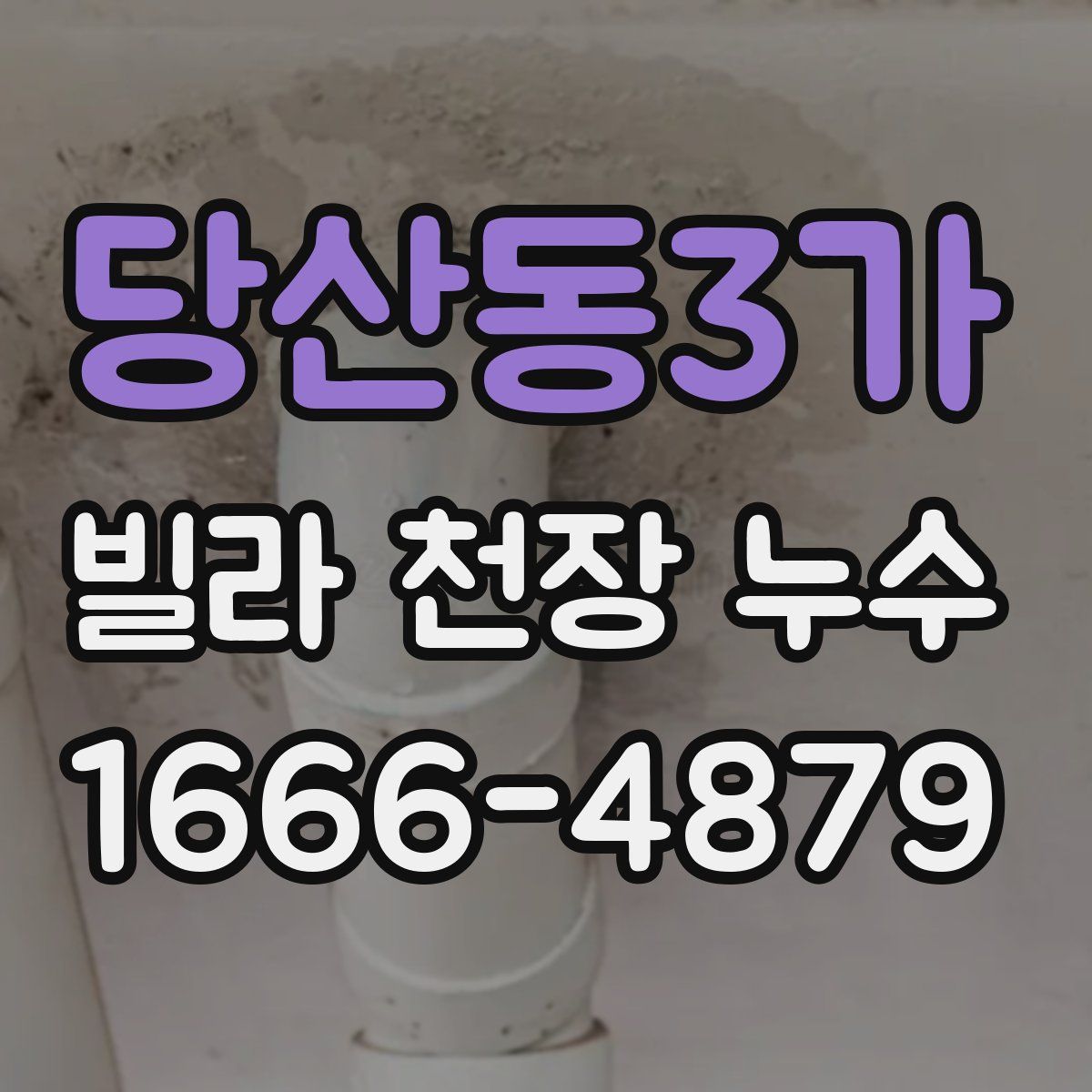 당산동3가 빌라 천장 누수