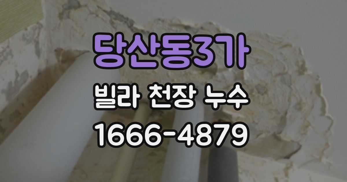 당산동3가 빌라 천장 누수