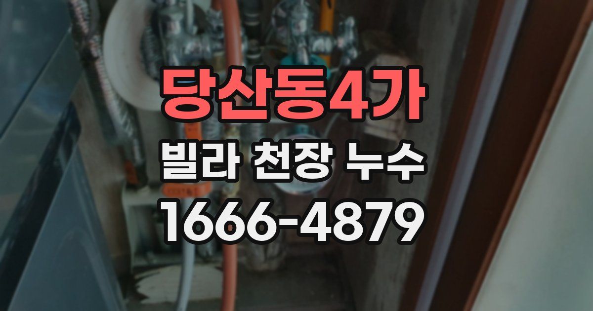 당산동4가 빌라 천장 누수