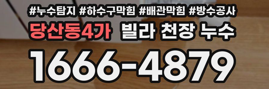 당산동4가 빌라 천장 누수