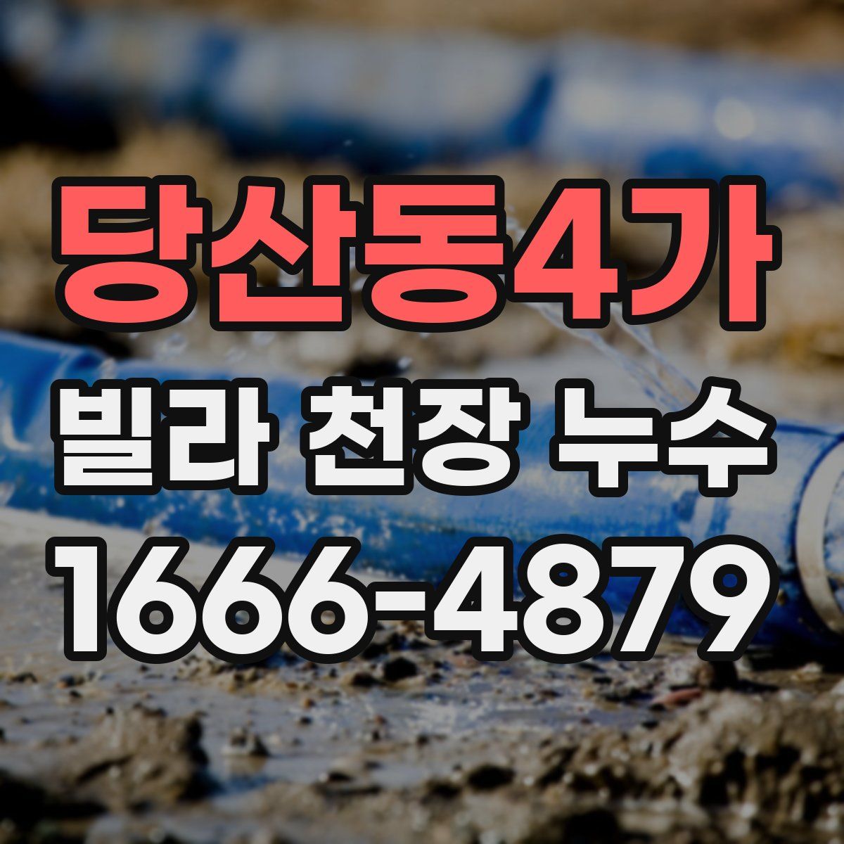 당산동4가 빌라 천장 누수