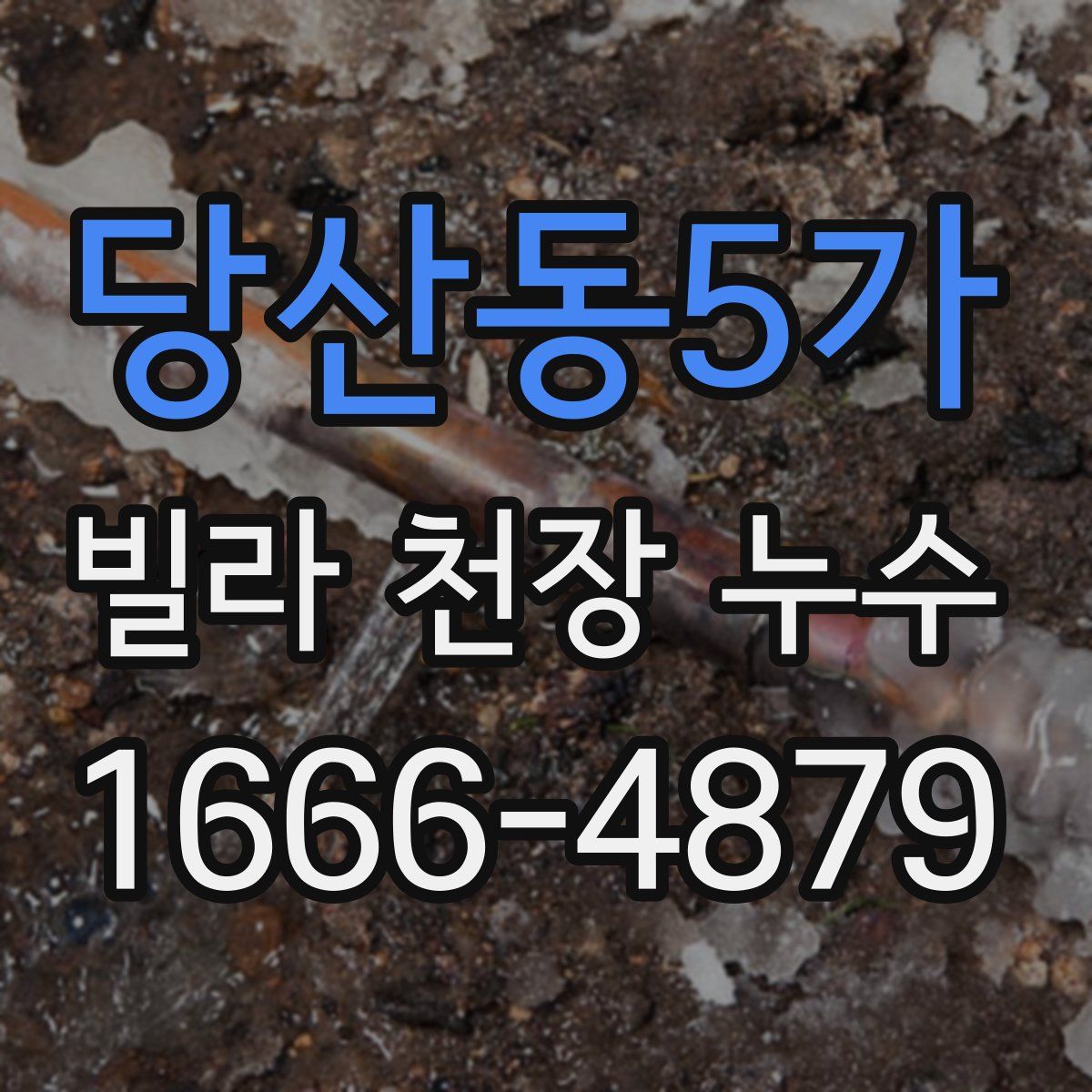 당산동5가 빌라 천장 누수
