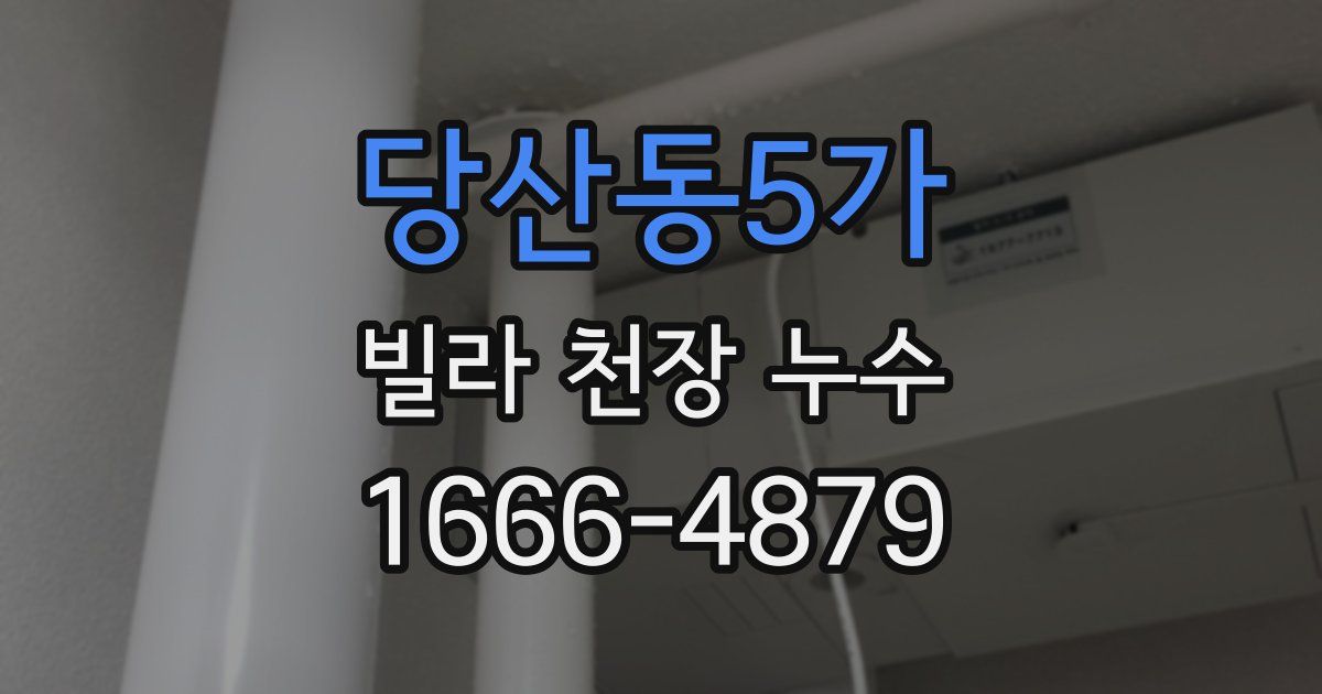 당산동5가 빌라 천장 누수