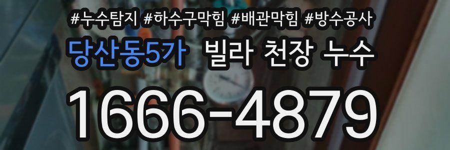 당산동5가 빌라 천장 누수
