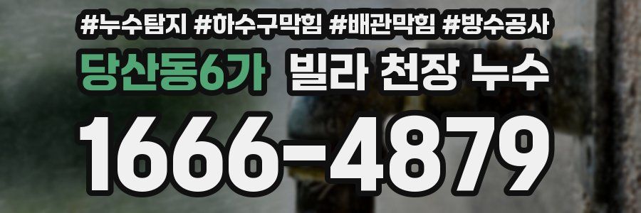 당산동6가 빌라 천장 누수