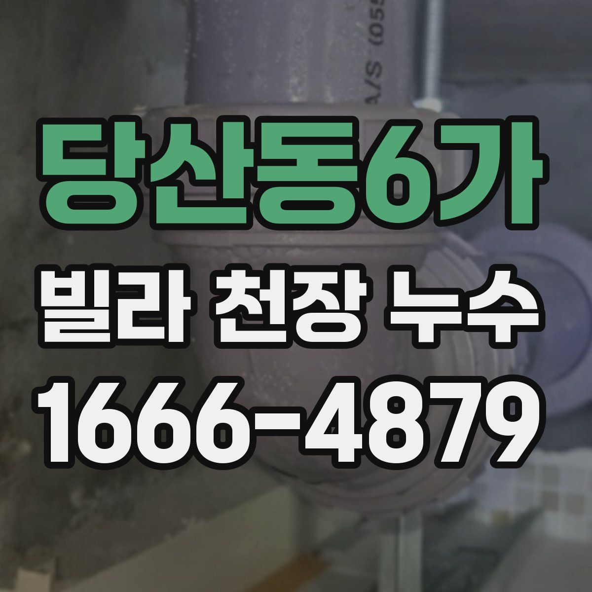 당산동6가 빌라 천장 누수