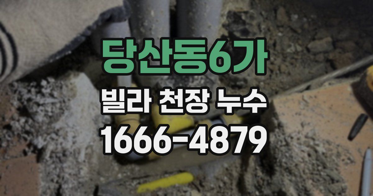 당산동6가 빌라 천장 누수