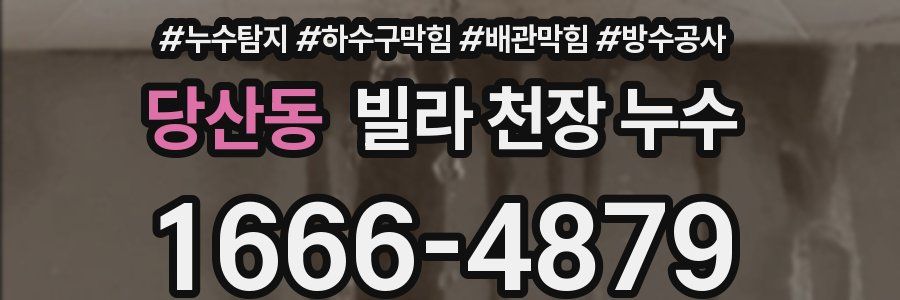 당산동 빌라 천장 누수
