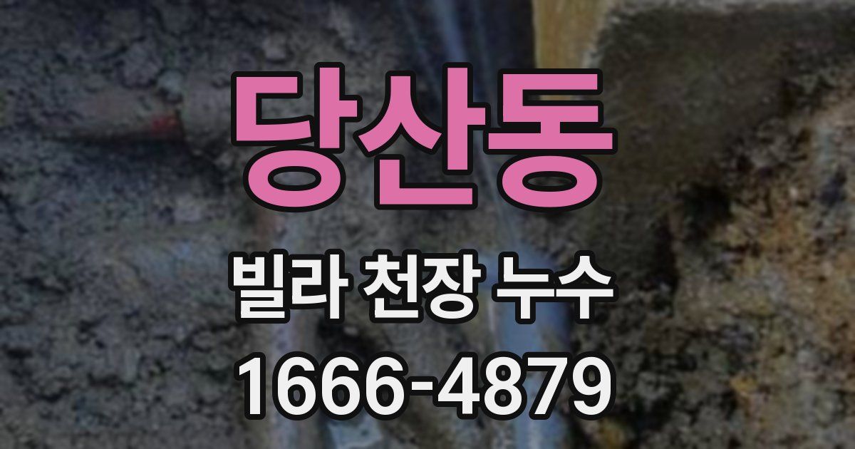 당산동 빌라 천장 누수