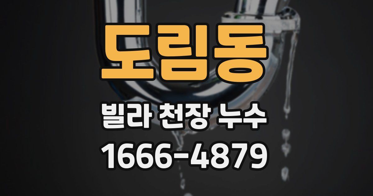 도림동 빌라 천장 누수