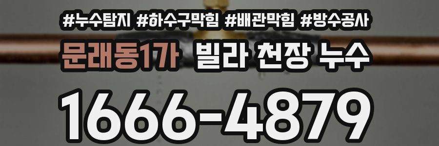 문래동1가 빌라 천장 누수
